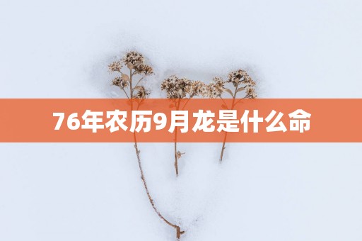 76年农历9月龙是什么命