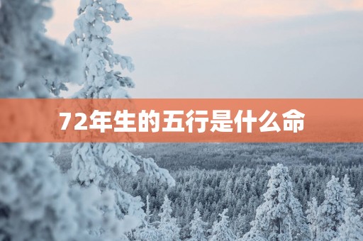 72年生的五行是什么命