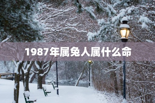 1987年属兔人属什么命