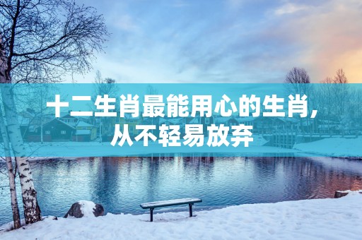 十二生肖最能用心的生肖,从不轻易放弃