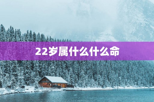 22岁属什么什么命