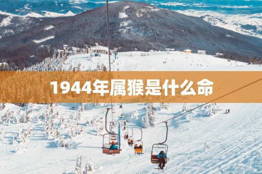 1944年属猴是什么命
