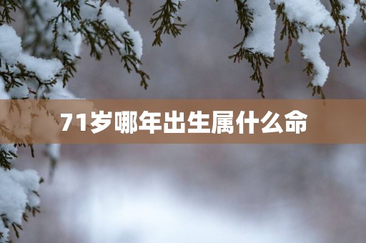 71岁哪年出生属什么命