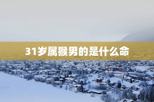 31岁属猴男的是什么命