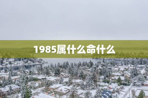 1985属什么命什么