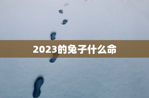 2025的兔子什么命
