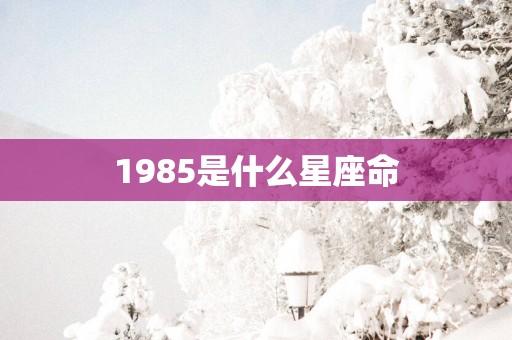 1985是什么星座命