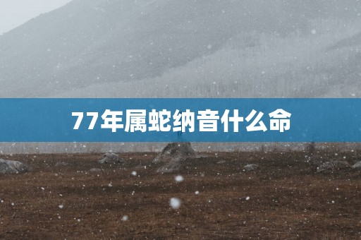 77年属蛇纳音什么命