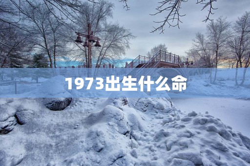 1973出生什么命