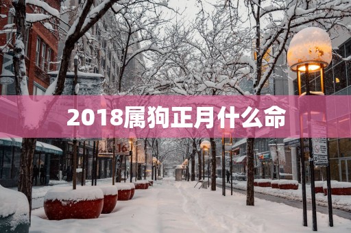 2018属狗正月什么命