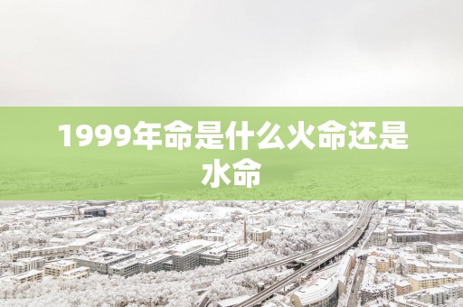 1999年命是什么火命还是水命