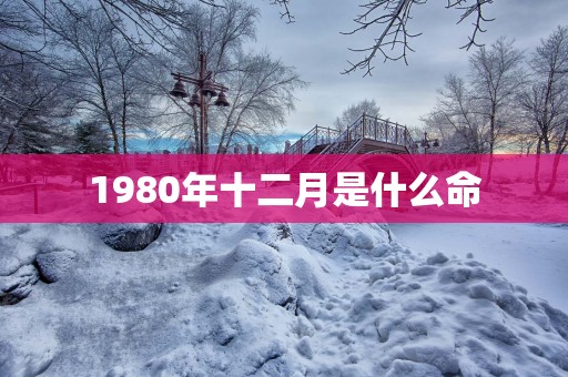 1980年十二月是什么命