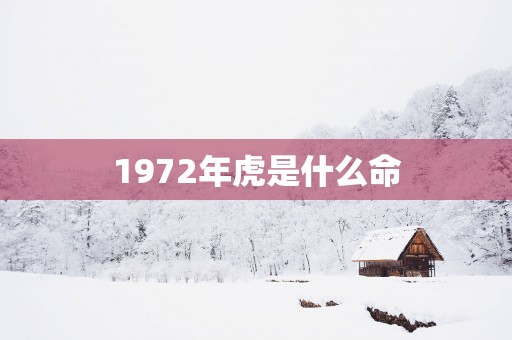 1972年虎是什么命