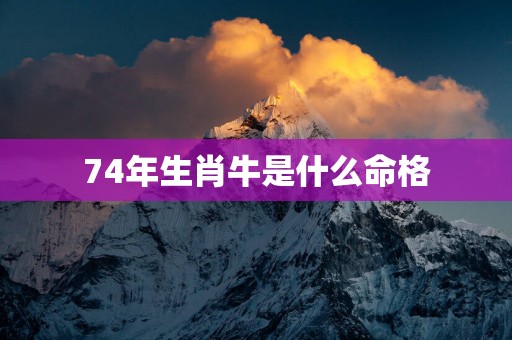 74年生肖牛是什么命格