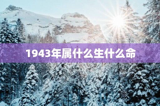 1943年属什么生什么命