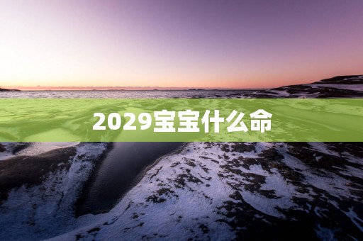 2029宝宝什么命