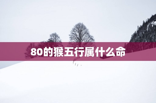 80的猴五行属什么命