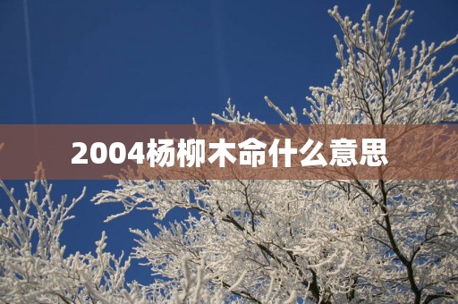 2004杨柳木命什么意思