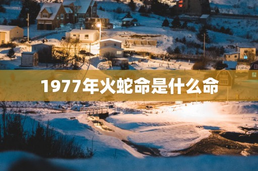 1977年火蛇命是什么命