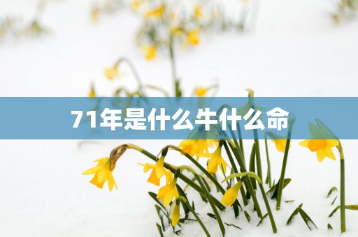 71年是什么牛什么命