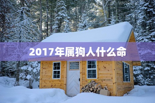 2017年属狗人什么命