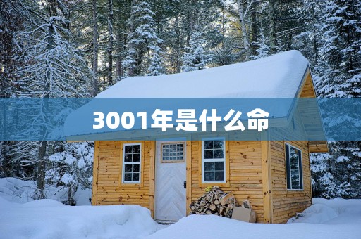 3001年是什么命