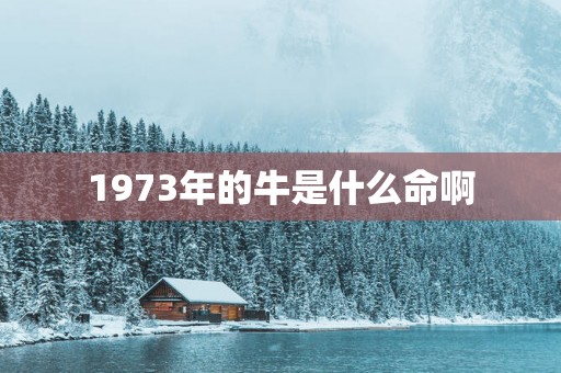 1973年的牛是什么命啊