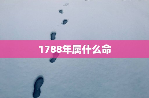 1788年属什么命
