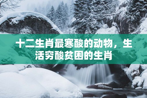 十二生肖最寒酸的动物，生活穷酸贫困的生肖