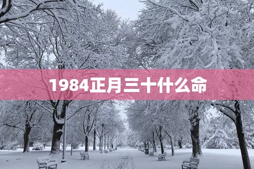 1984正月三十什么命