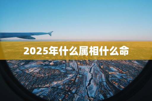 2025年什么属相什么命