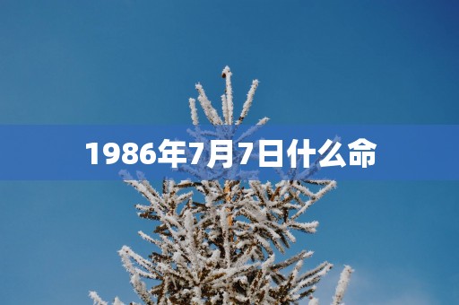 1986年7月7日什么命