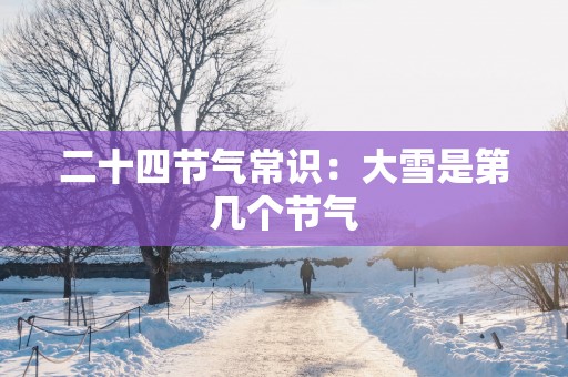 二十四节气常识：大雪是第几个节气