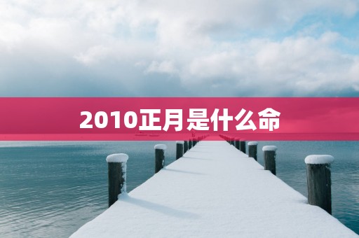 2010正月是什么命