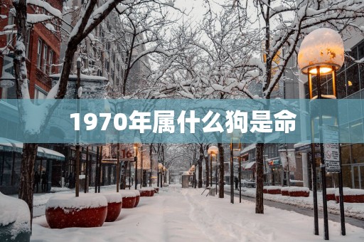 1970年属什么狗是命