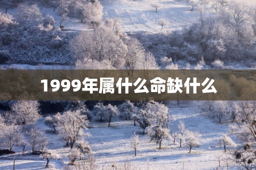 1999年属什么命缺什么