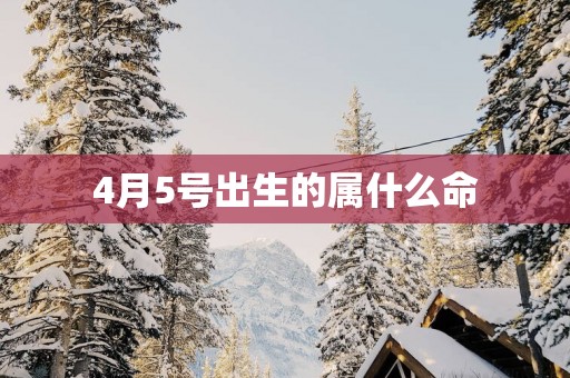 4月5号出生的属什么命