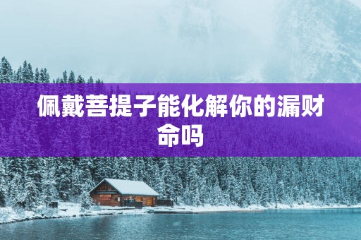 佩戴菩提子能化解你的漏财命吗