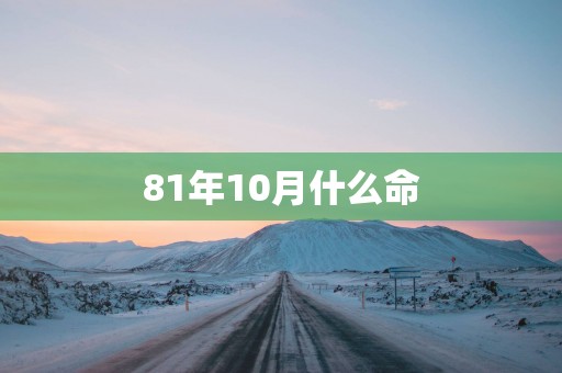 81年10月什么命