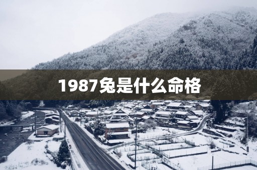 1987兔是什么命格