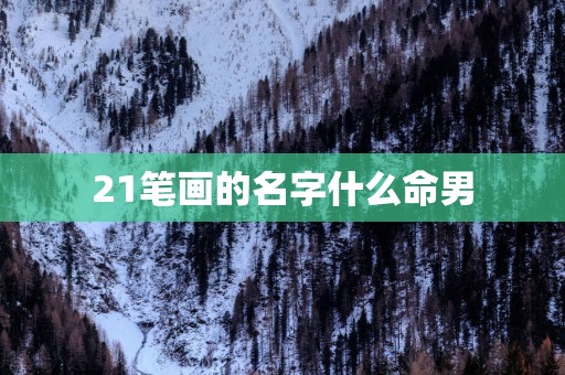 21笔画的名字什么命男