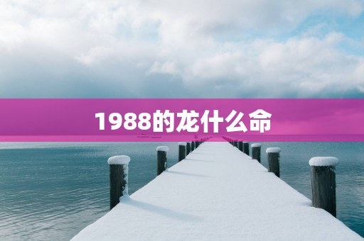1988的龙什么命