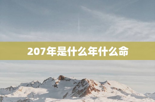 207年是什么年什么命