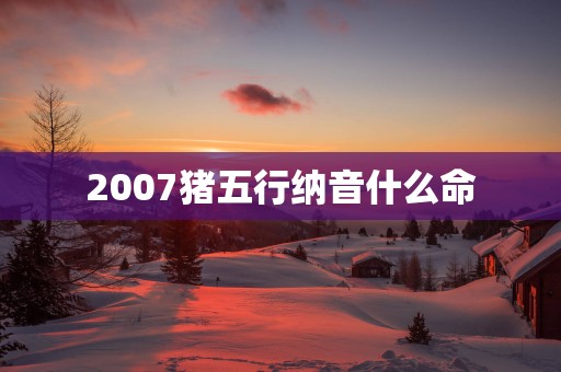 2007猪五行纳音什么命