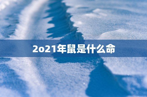 2o21年鼠是什么命