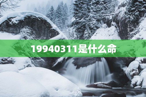 19940311是什么命