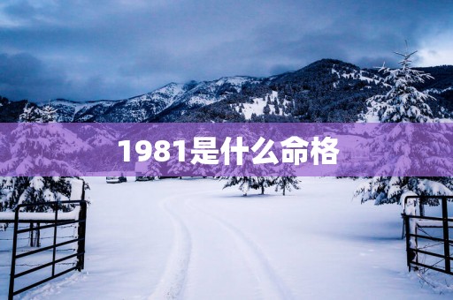 1981是什么命格
