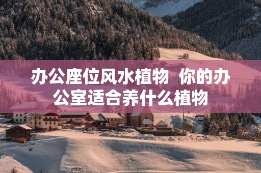办公座位风水植物  你的办公室适合养什么植物
