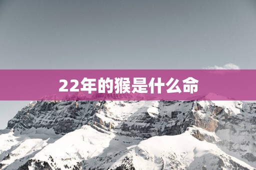 22年的猴是什么命