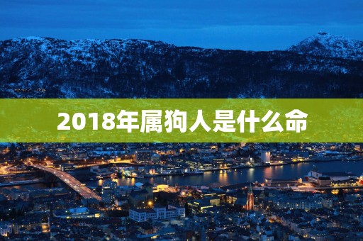 2018年属狗人是什么命